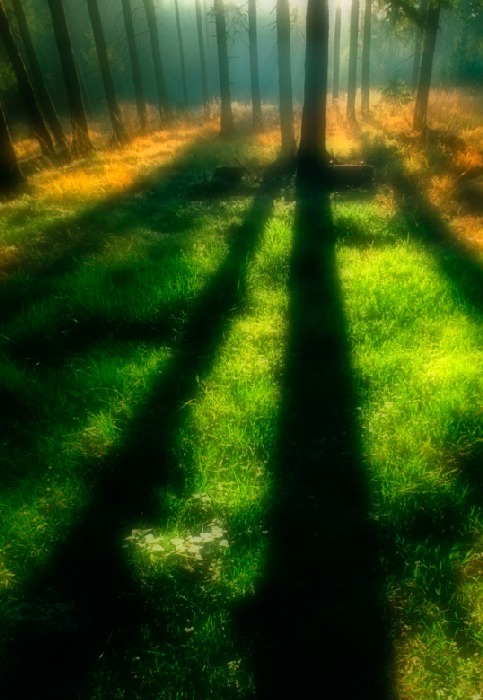 morning von Wolfgang Simlinger