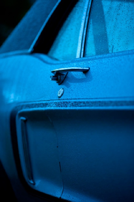 mustang von Wolfgang Simlinger