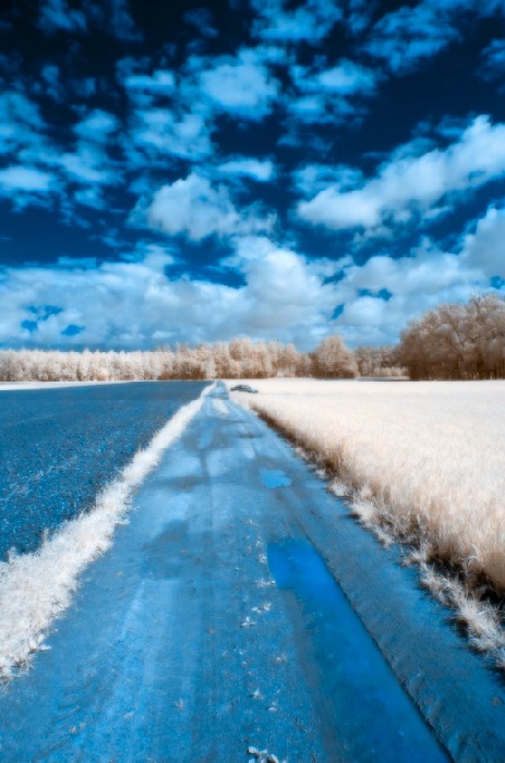 on the road again von Wolfgang Simlinger