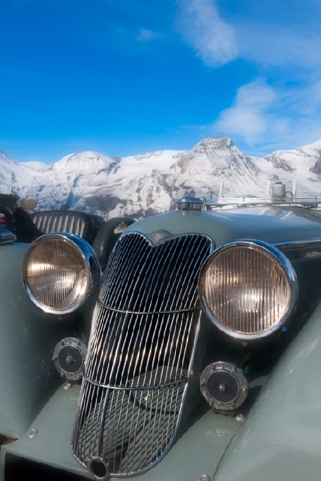 riley von Wolfgang Simlinger