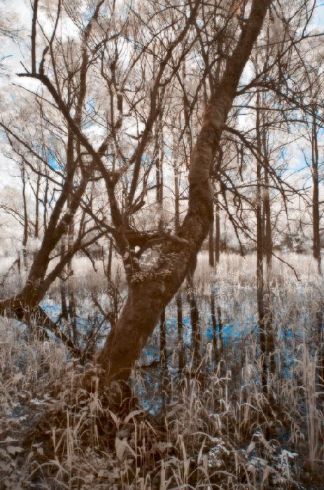 riverside 2 von Wolfgang Simlinger