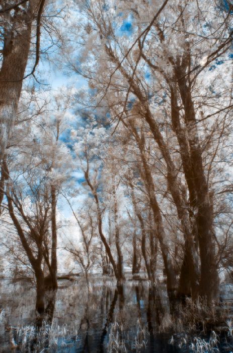 riverside 3 von Wolfgang Simlinger