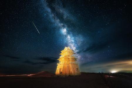 The Man Who Fell to Earth