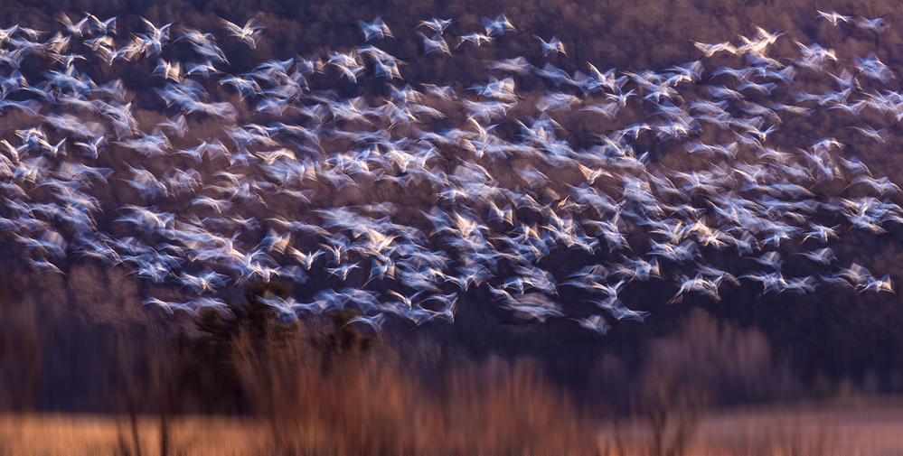 untitledl von Xiaobing Tian