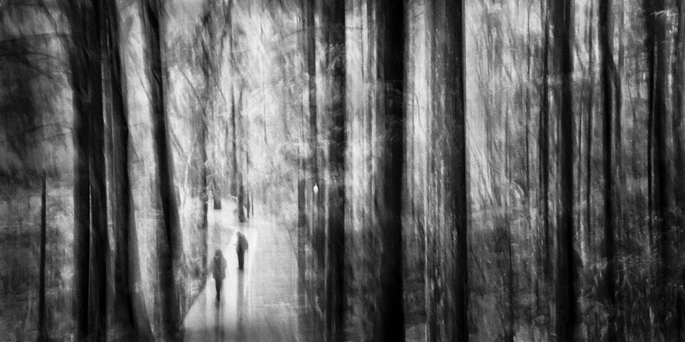 Im Coming von Xiaohong Zhang