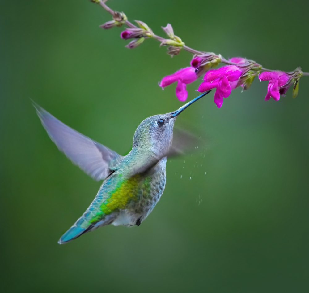 Breakfast Time von Xiaojian Huang