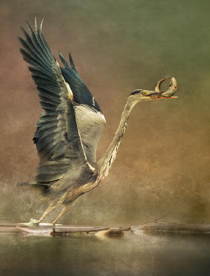 Take away fresh food