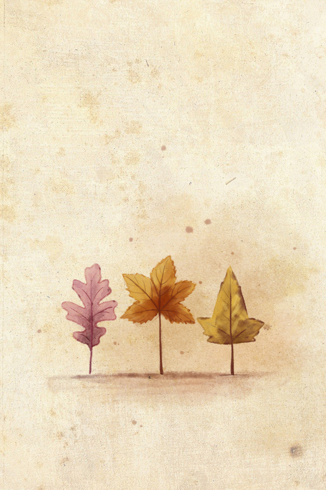 Autumn Leaves von Xuan Thai