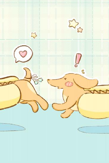 Lovely Dachshund Dog