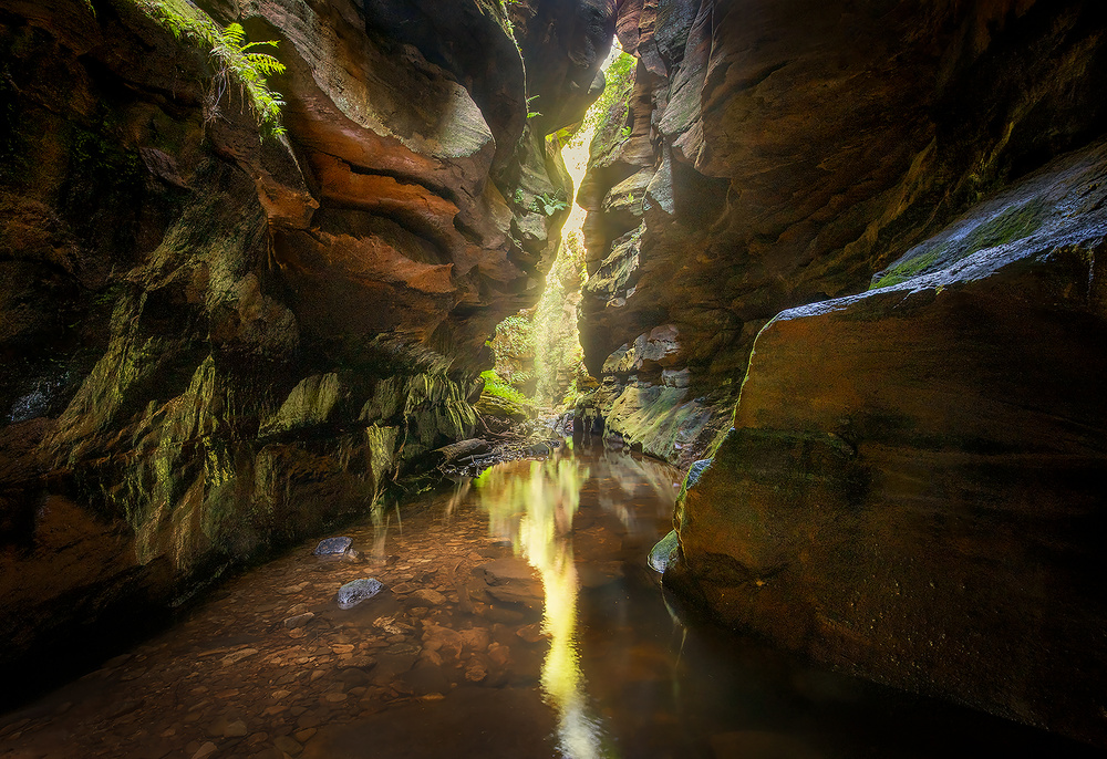 Canyon Light von Yan Zhang