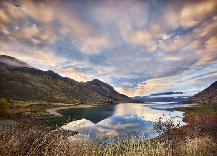 Morning Delight at Lake Hawea von Yan Zhang