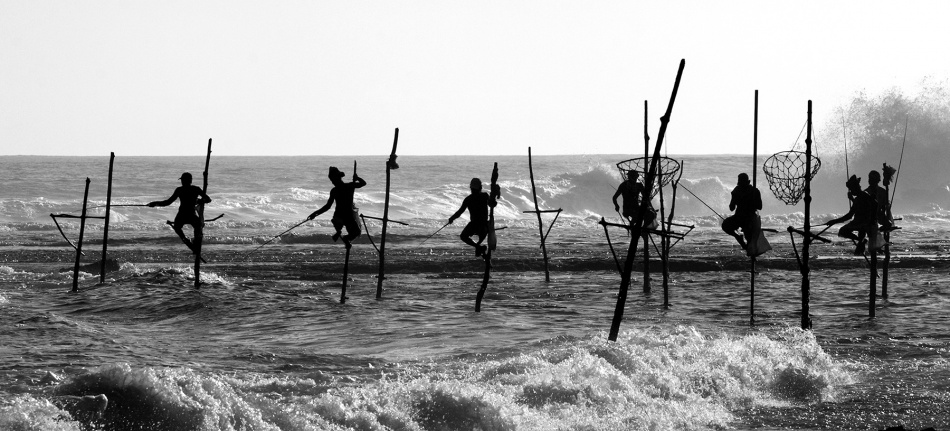The Stick Fishermen von Yaniv Guy