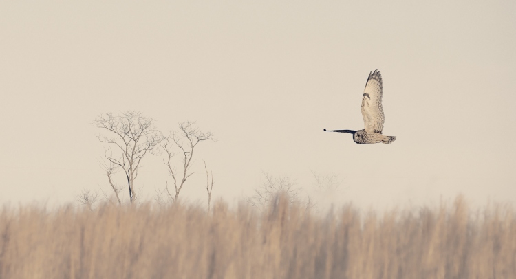 A cloudy day fly von Yanny Liu
