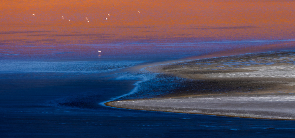 Laguna Colorado von Yanny Liu