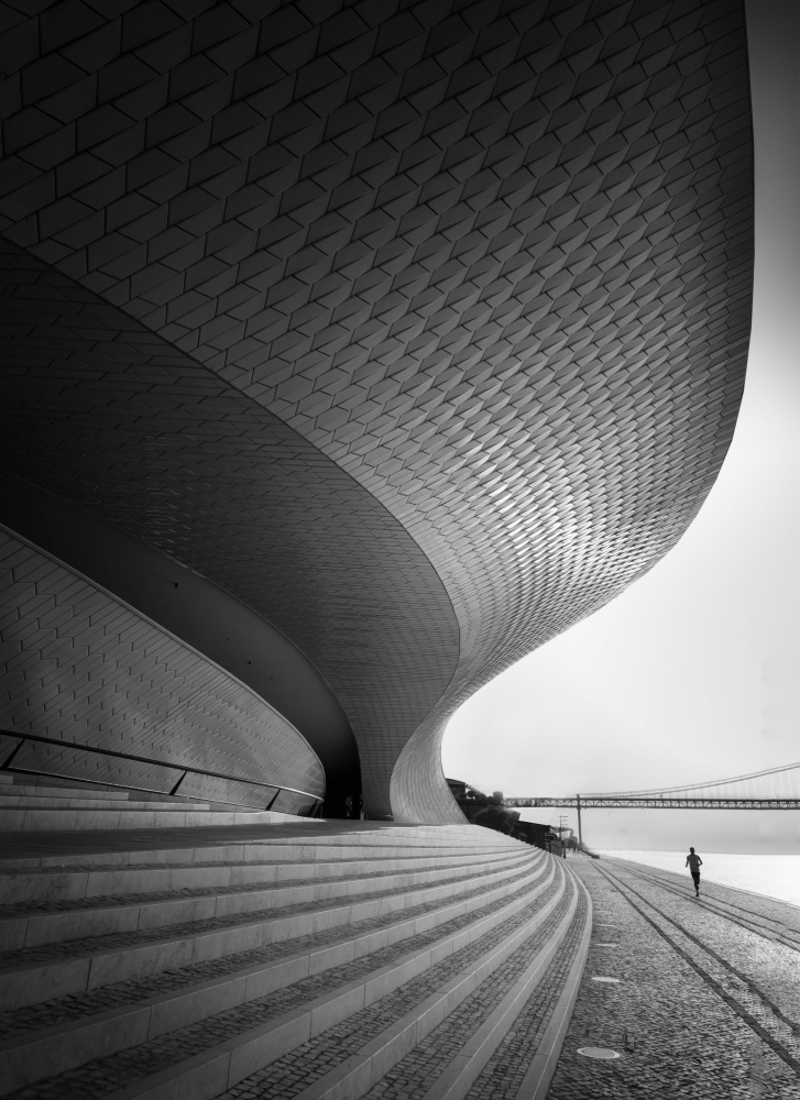 Curves von Yanyan Gong