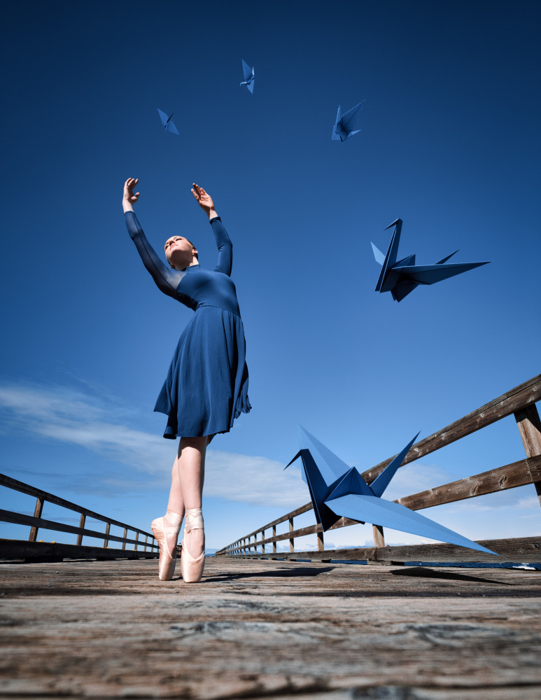 Gone with the Wing von Yasin Hasanian