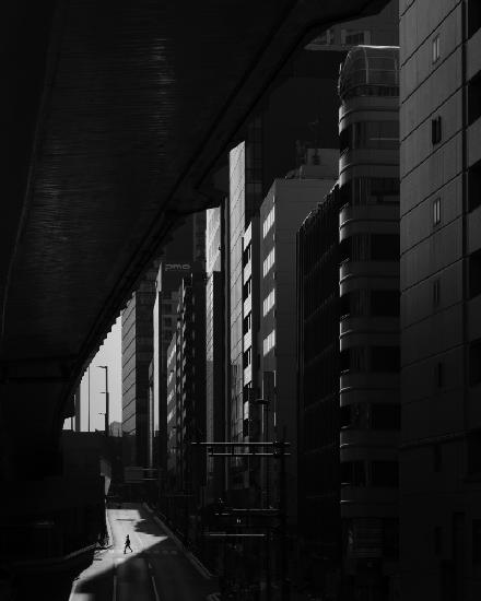Lonesome in Shibuya
