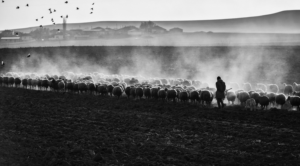 Rustic Life von Yavuz Pancareken