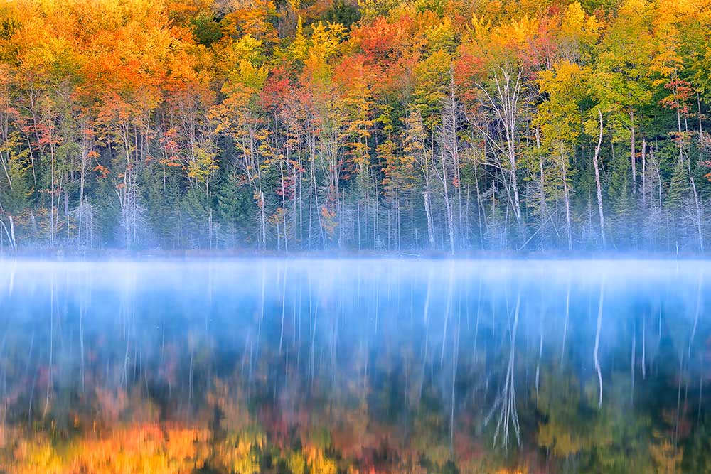 Herbstfarbe von Yimei Sun