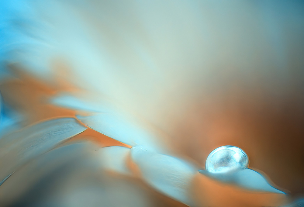 Droppen. von Ylva Sjögren