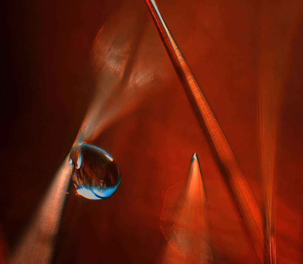 En droppe, ett ögonblick. von Ylva Sjögren