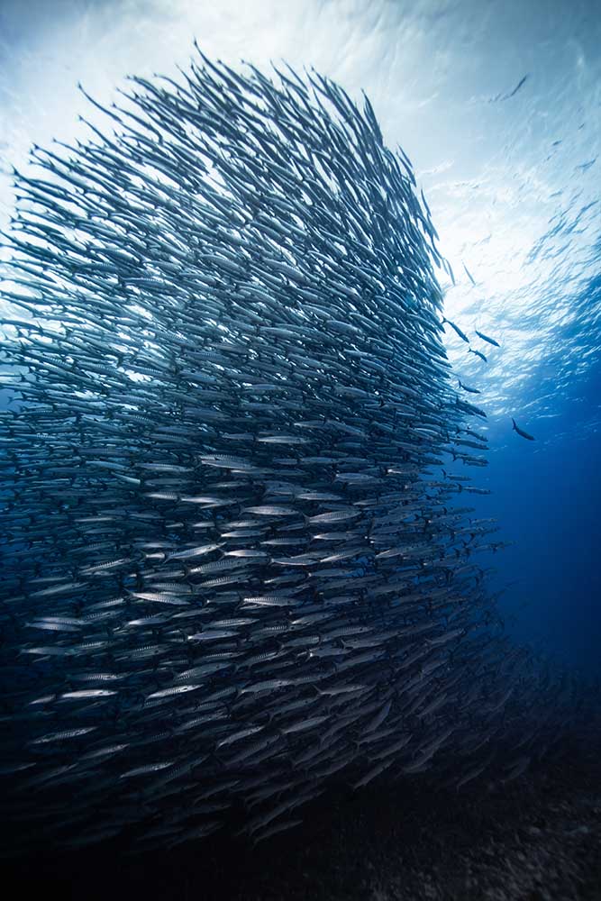 Wolkenkratzer von Yong Hoon Choi