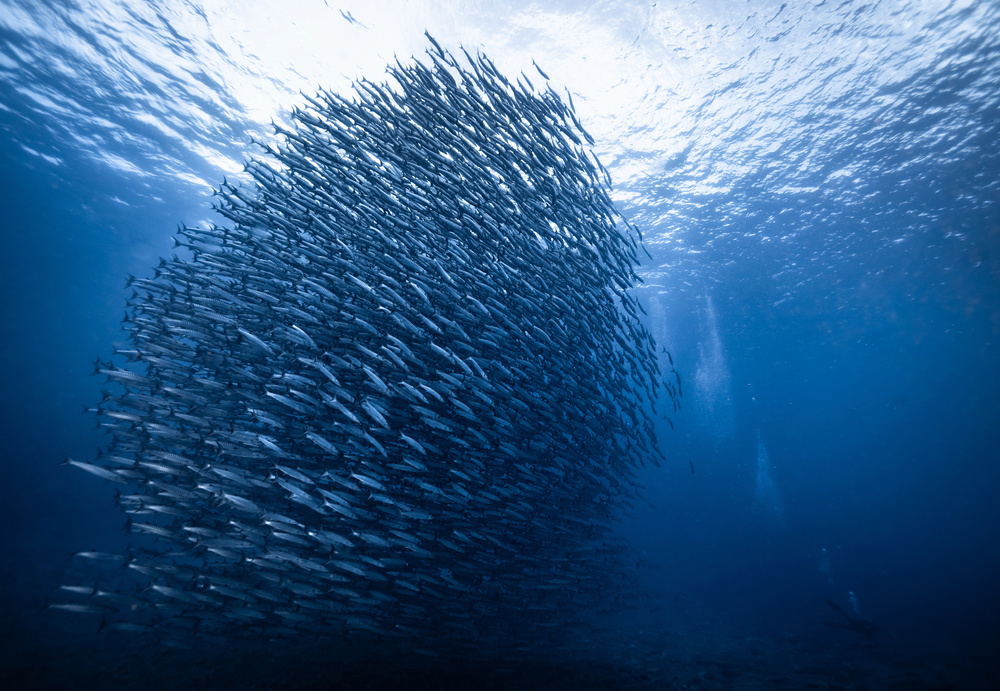 Mass giant von YongHoon Choi