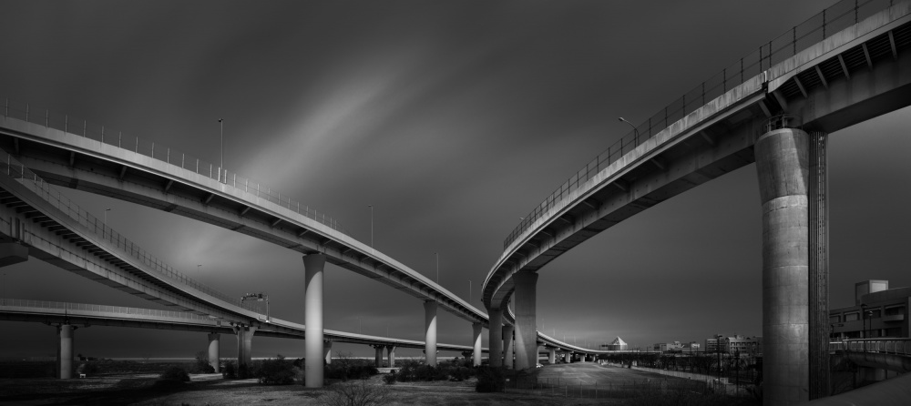 Serpents in the West von Yoshihiko Wada