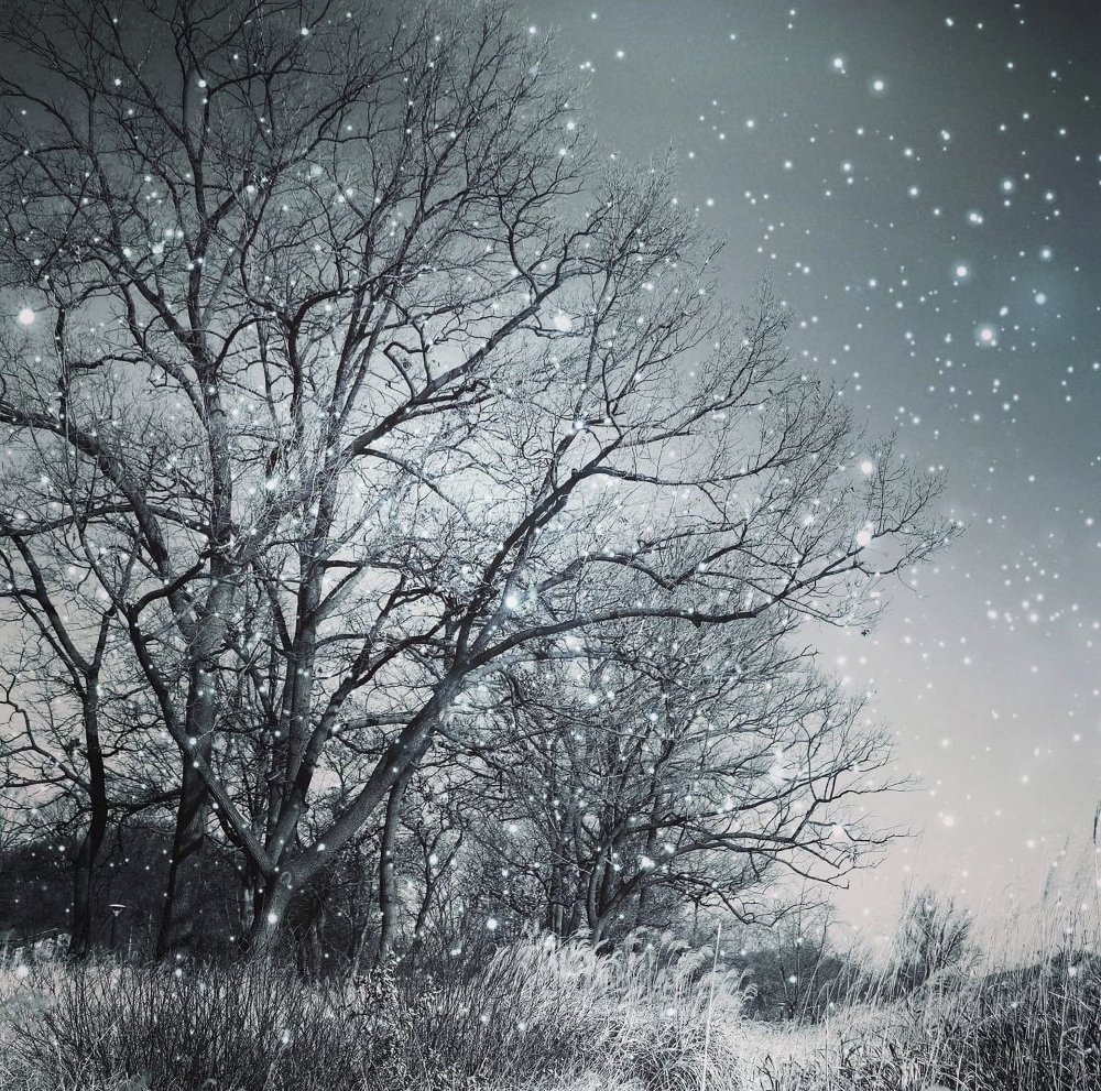 one snowy night von YoungIl Kim