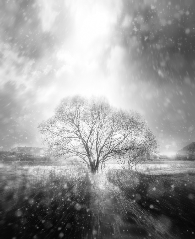 blizzard von YoungIl Kim