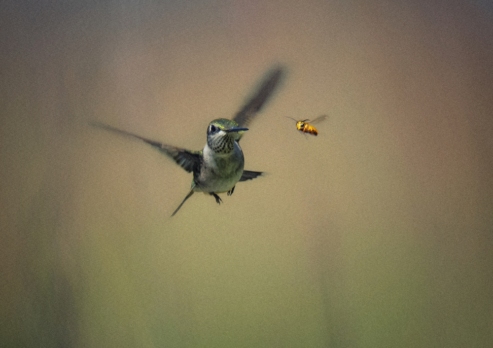 Hello II von Yu Cheng