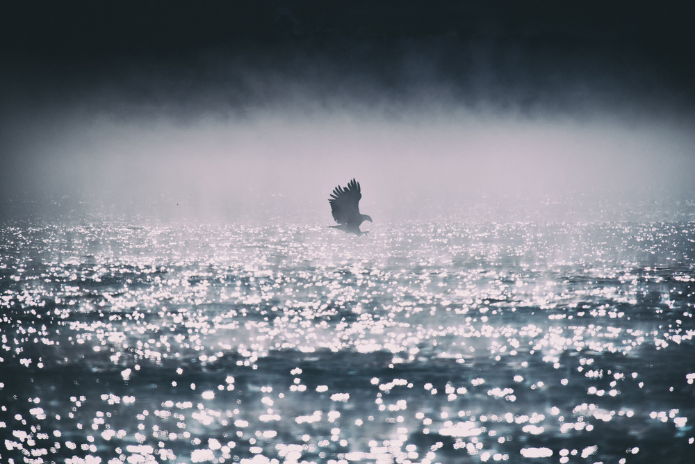 Hunting in 0 F von Yu Cheng