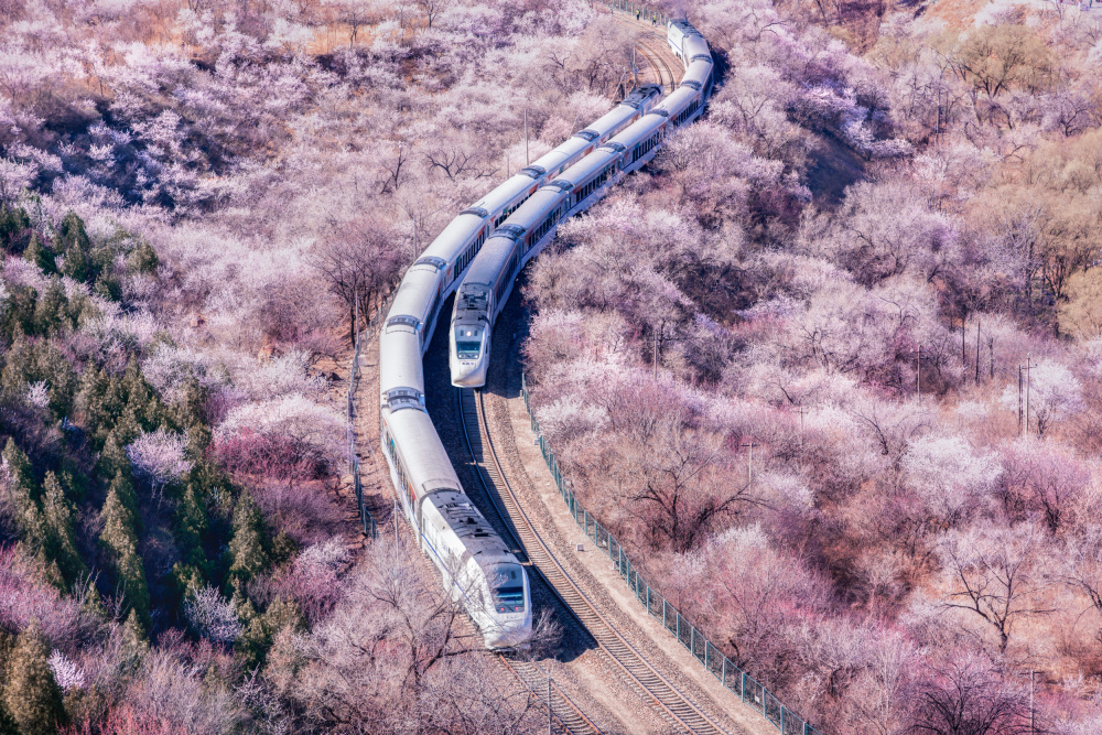 The Train to Spring von Yuan Cui