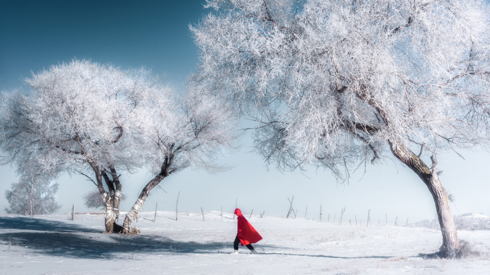 A world of ice and snow von Yuan Cui
