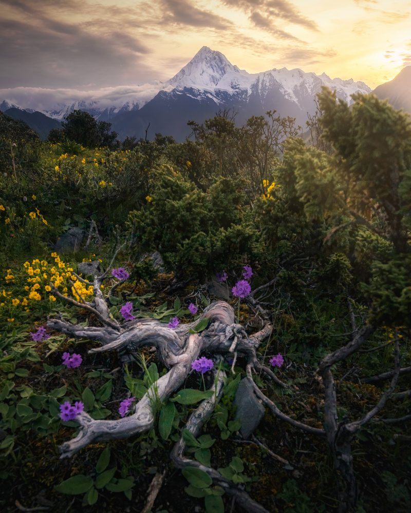 Jurassic World von Yuan Cui