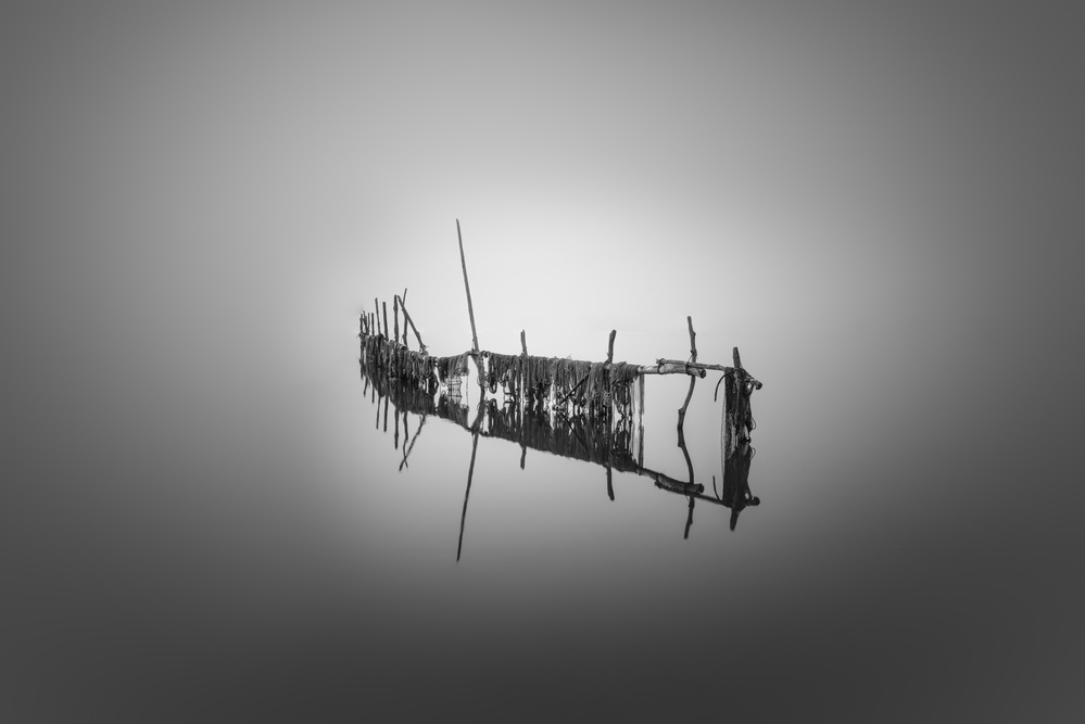 Aboshi von Yuki Yatsushima