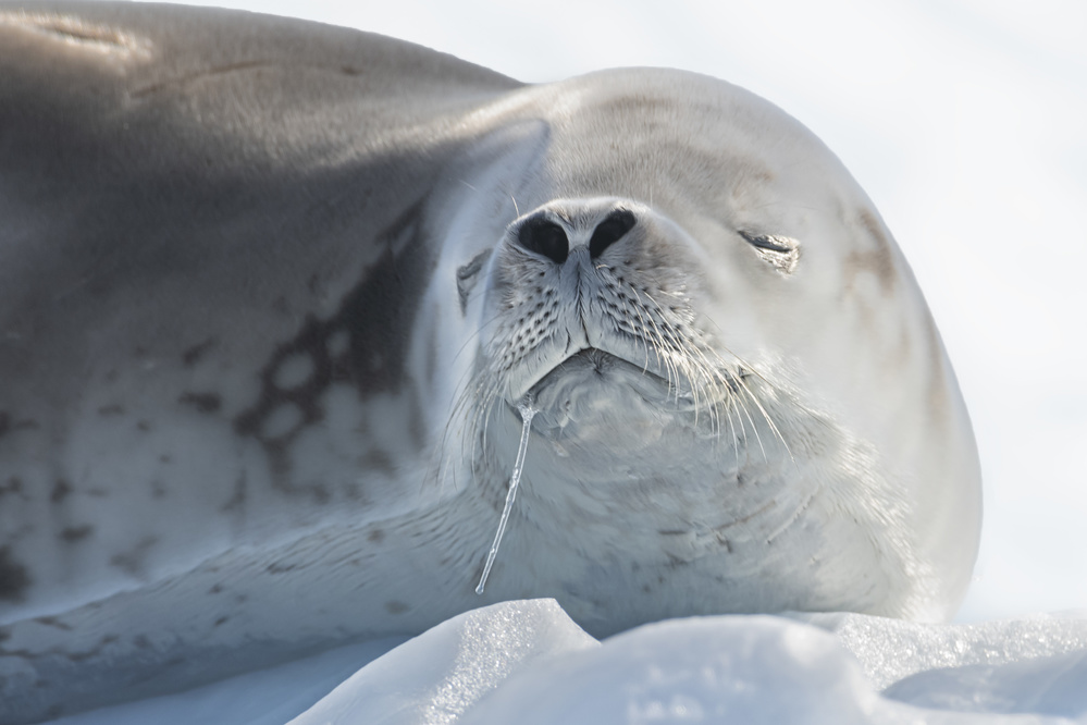 Relaxing season von Yun Wang