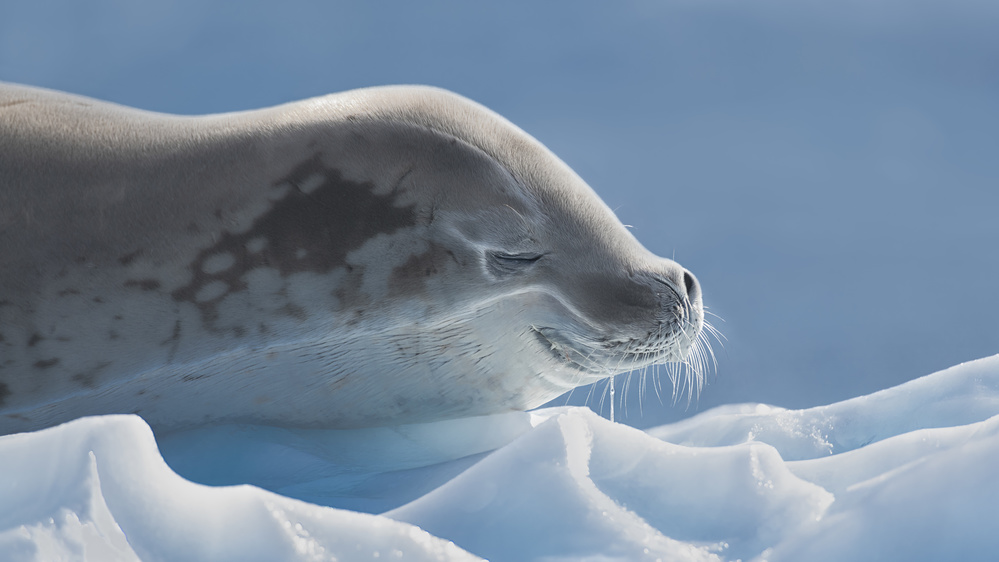 peaceful von Yun Wang