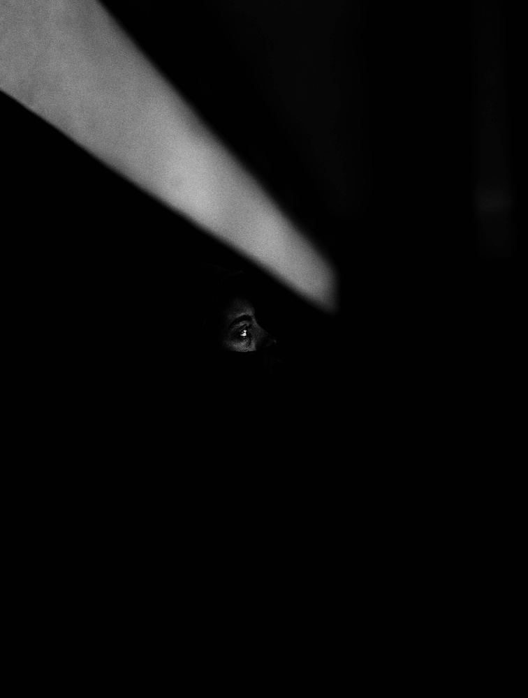 Spectator von Yuri Shepelev