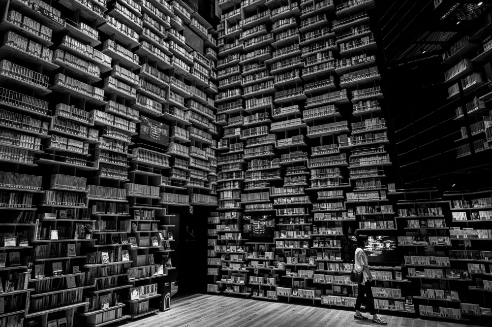 Archive von YUTAKA KURAHASHI