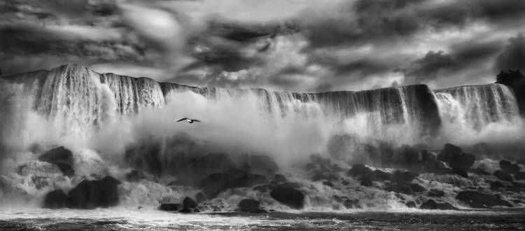 Beauty unbound !! von Yvette Depaepe