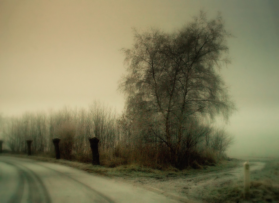 Nature\s silent wintertime von Yvette Depaepe
