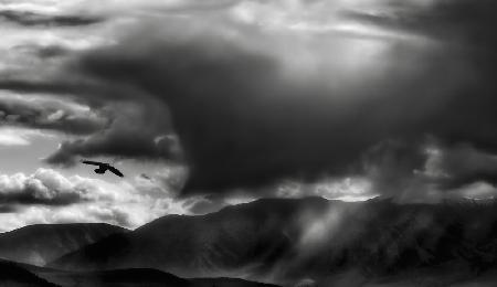 Thunderheads are shoe-thumping fellows ...