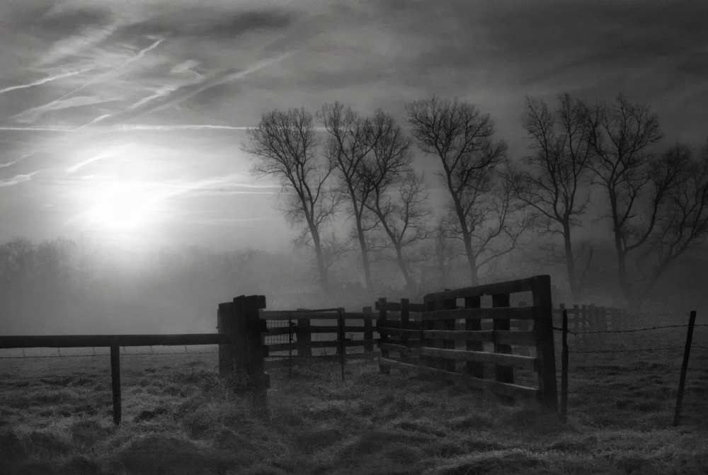 Eternal Sunrise von Yvette Depaepe