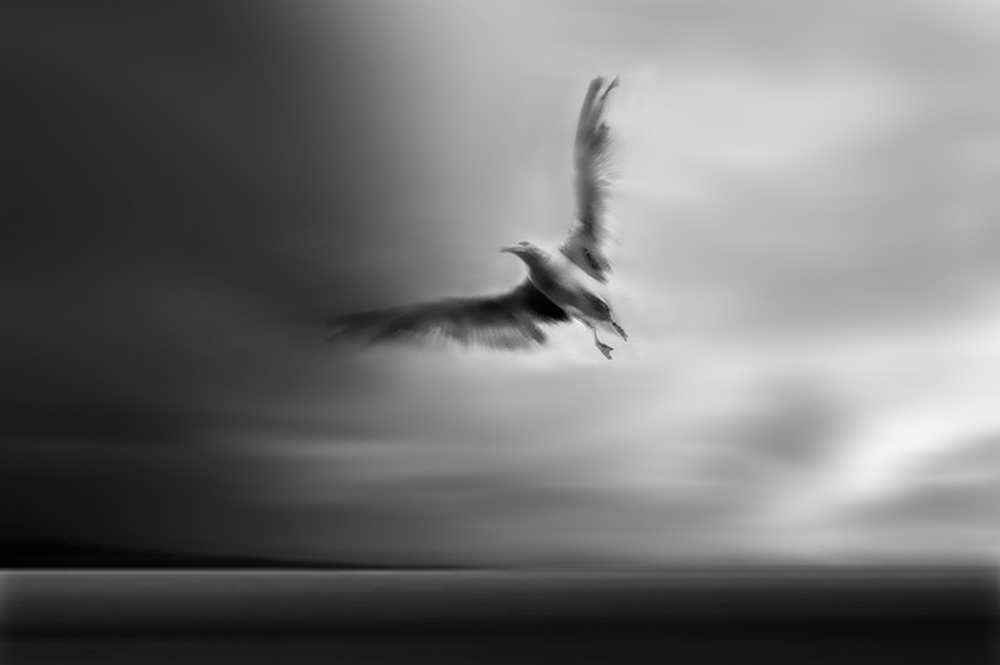 Fly away with me von Yvette Depaepe