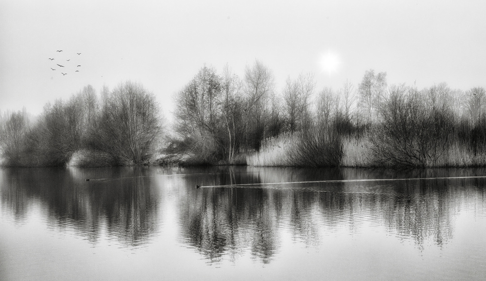 Spring is in the air ... von Yvette Depaepe