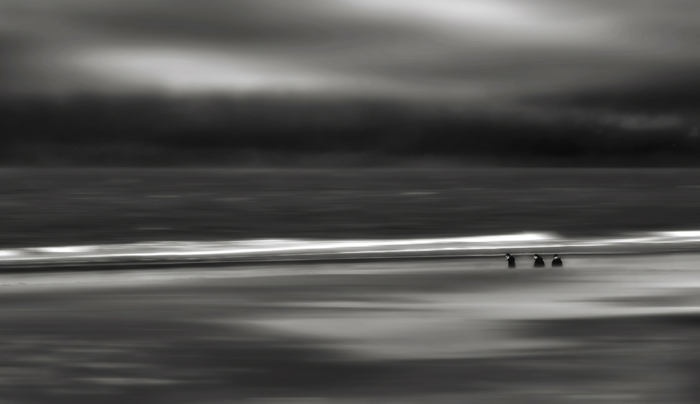 Caught in the storm... von Yvette Depaepe