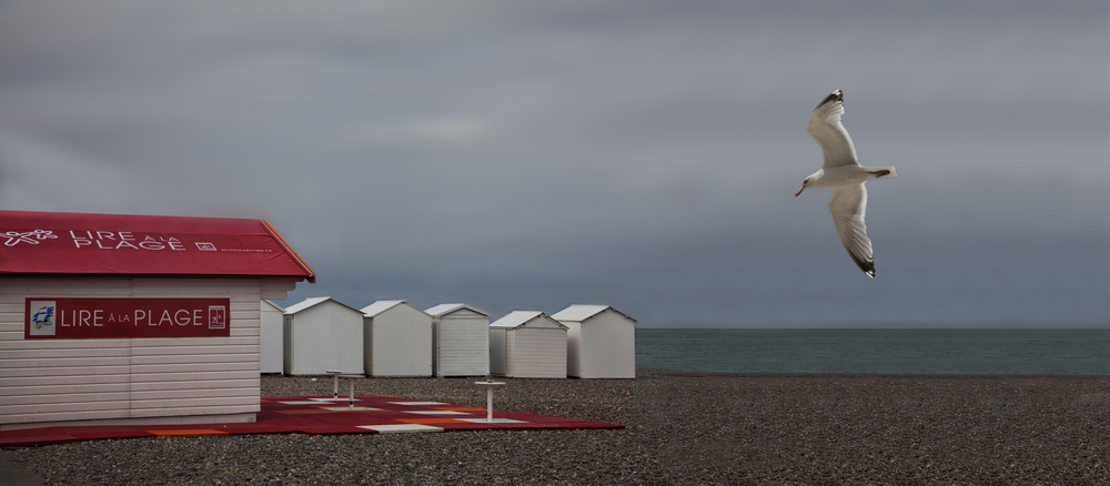 Lire à la Plage" - Picking up his newspaper ;-) von Yvette Depaepe