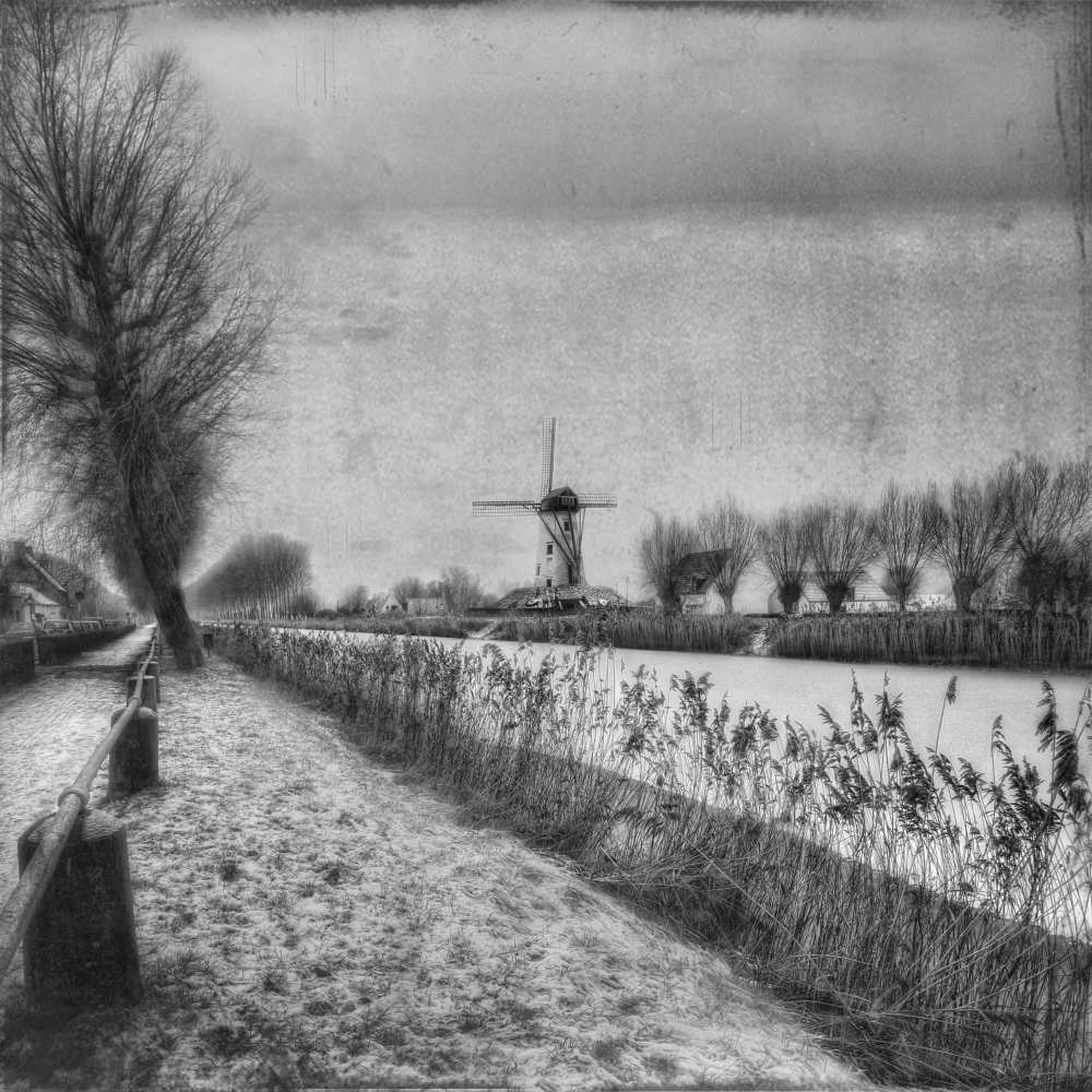 My beloved flat country: Damme von Yvette Depaepe