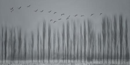 Beauty giving you goose  bumps